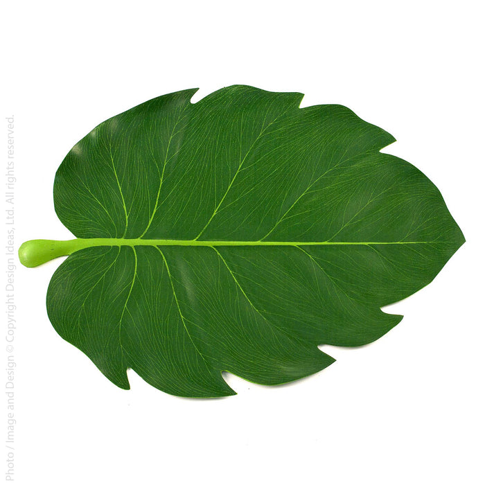 BaliHai Placemat Alocasia-texxture
