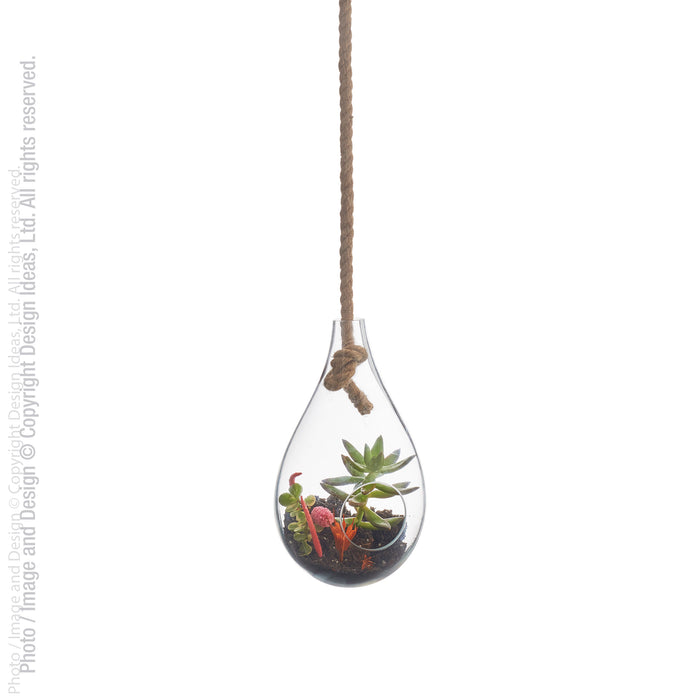 Boboli™ hanging terrarium (6 dia. x 10 in.)