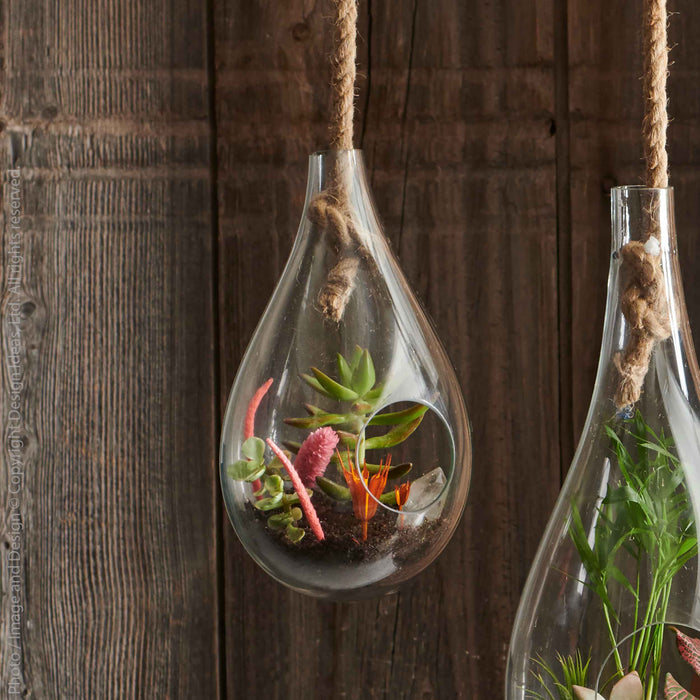 Boboli™ hanging terrarium (6 dia. x 10 in.)