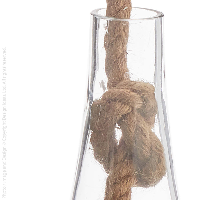 Boboli™ hanging terrarium (6 dia. x 10 in.)