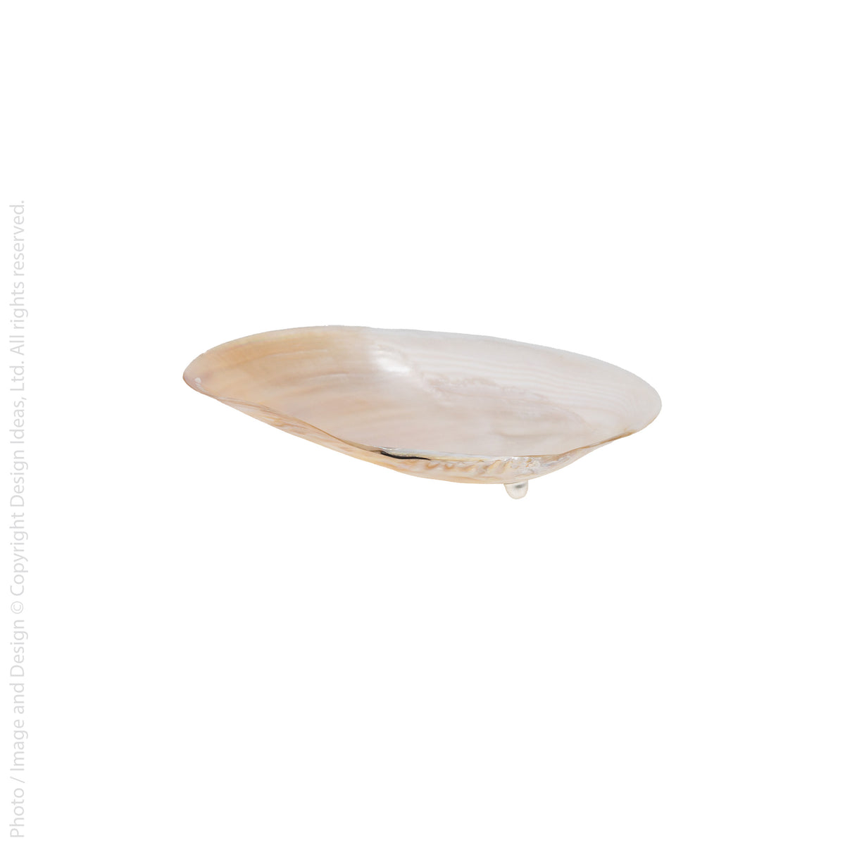 Shell Plates Design Cala™ shell plate (large) — Design Ideas