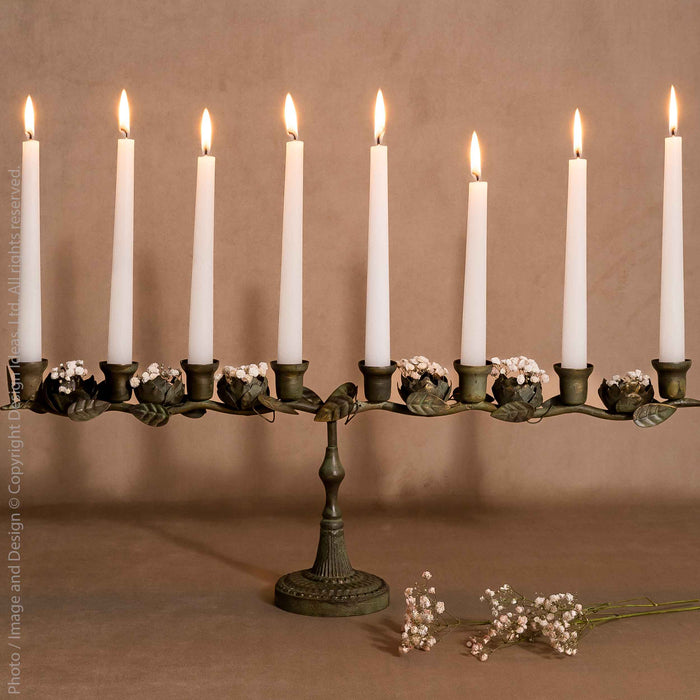 Astoria™ candleabra