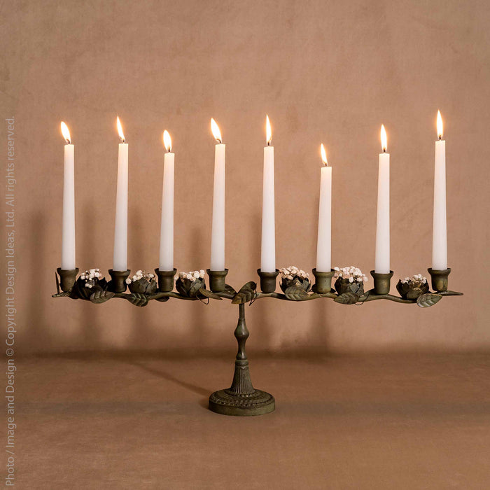Astoria™ candleabra