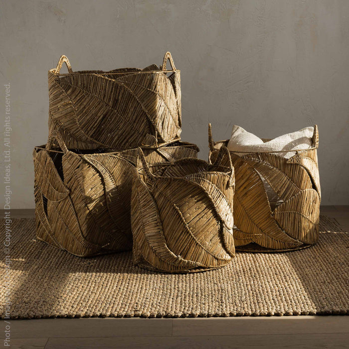 Catalpa™ baskets (set of 2 - rectangle)