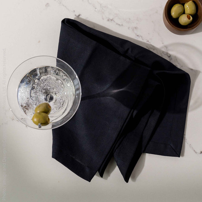Anyday™ napkins (set of 4)