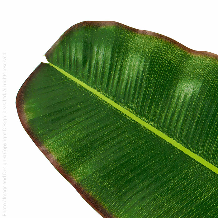 BaliHai™ runner (banana)