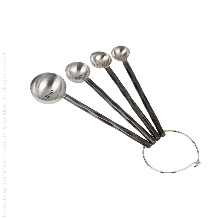 Tomini™ measure spoons (set of 4)