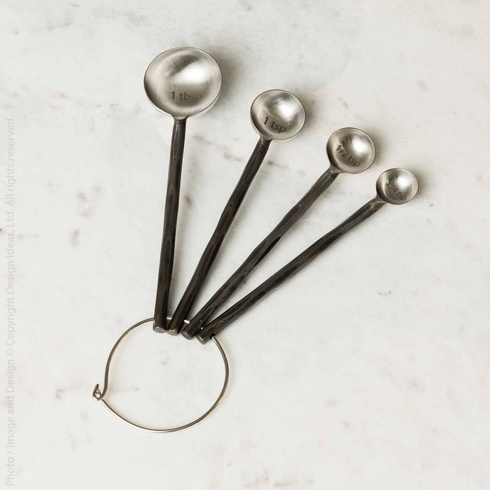 Tomini™ measure spoons (set of 4)