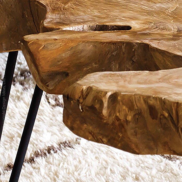 Takara™ coffee table