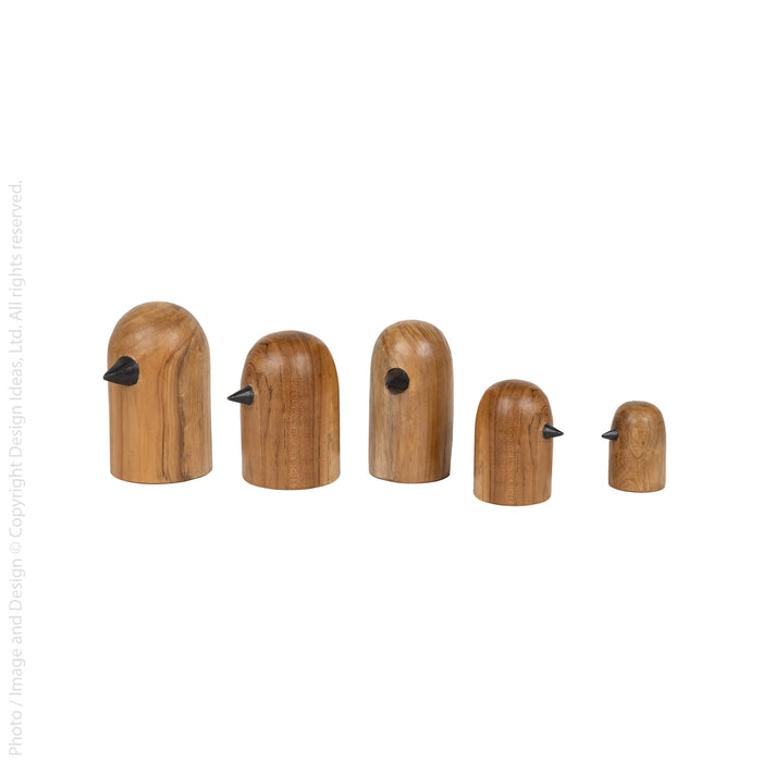 Brinny™ birds (set of 5)