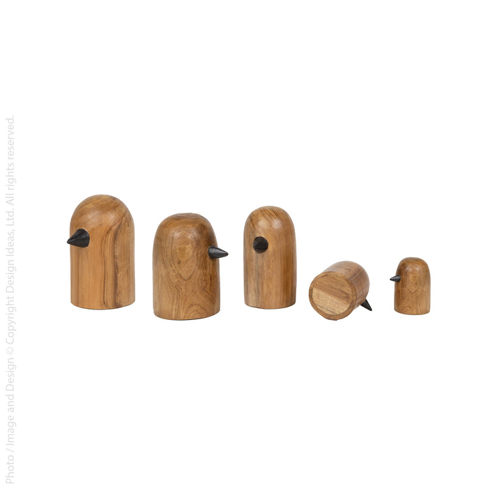 Brinny™ birds (set of 5)