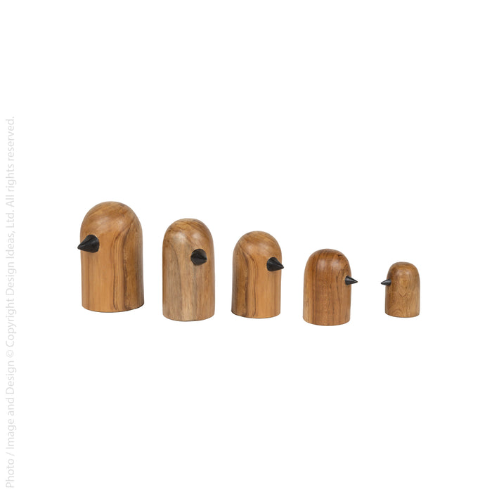 Brinny™ birds (set of 5)