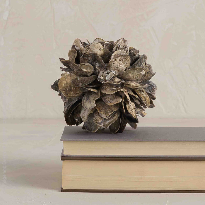 Concha™ decoration (small)