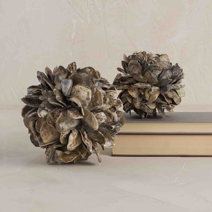 Concha™ decoration (small)