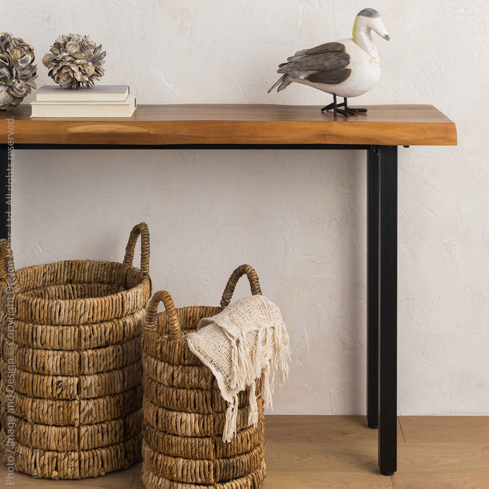 Concha™ decoration (small)