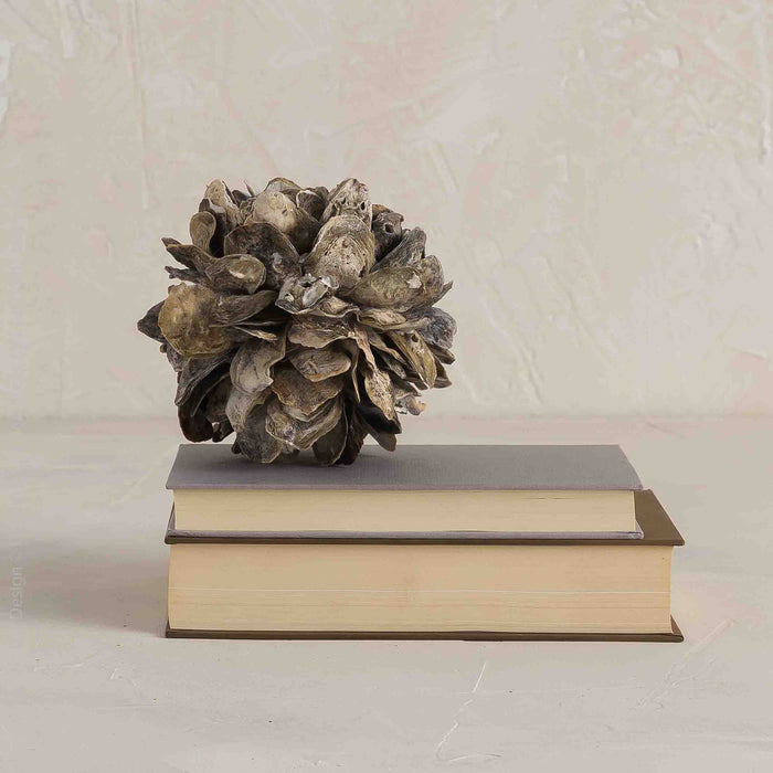 Concha™ decoration (small)