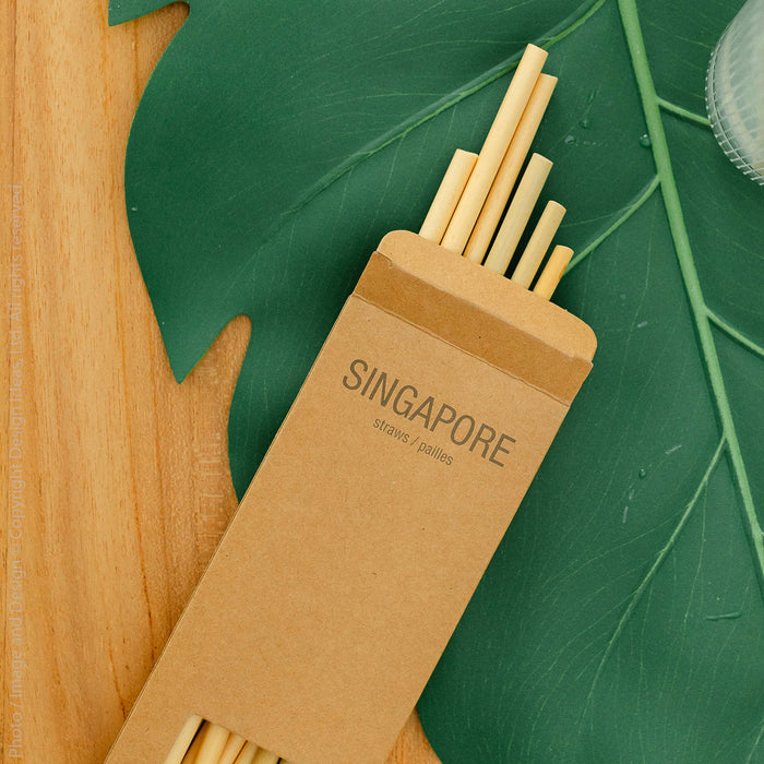 Singapore™ straws (box of 20)