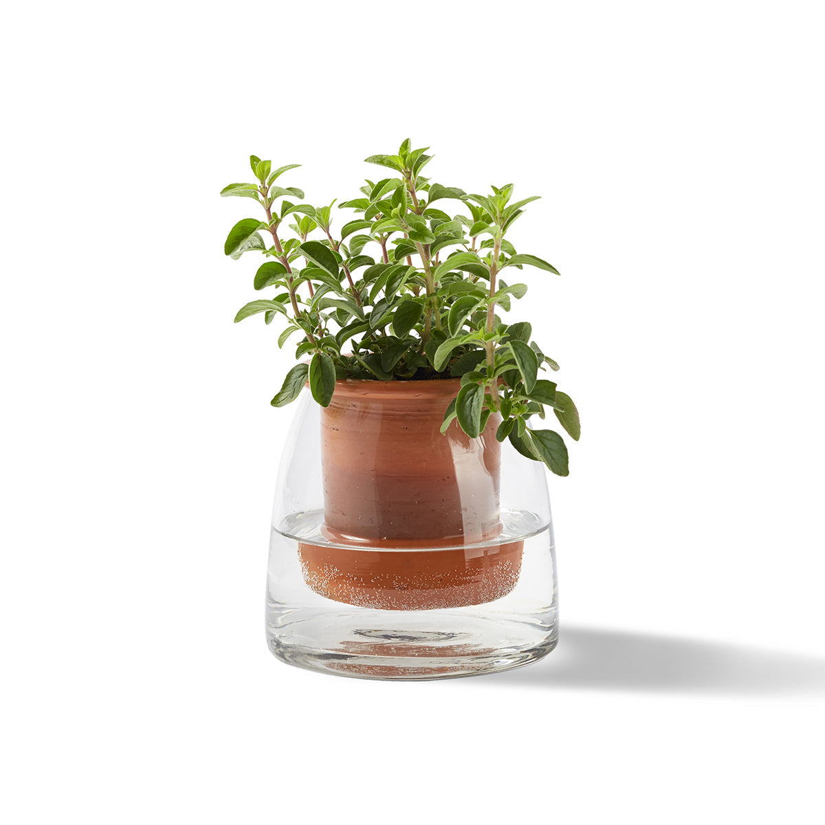 wet pot planter Self Watering Vase — Design Ideas