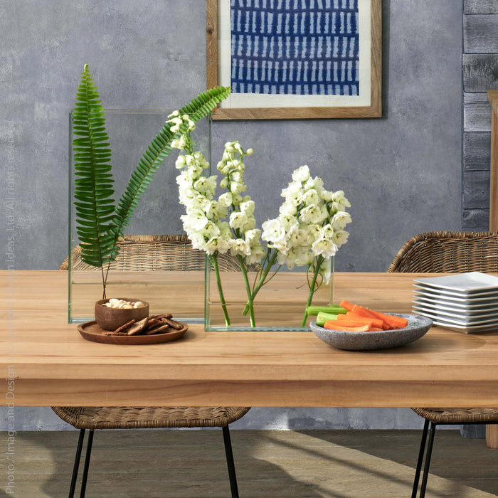 Vision™ vase (small: rectangle)