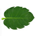 BaliHai Placemat Alocasia-texxture