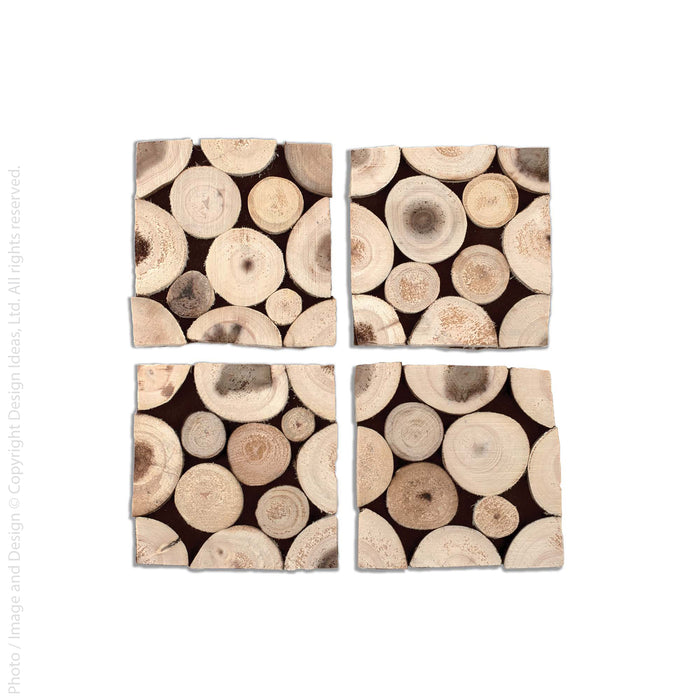 Branch™ coasters (set of 4)