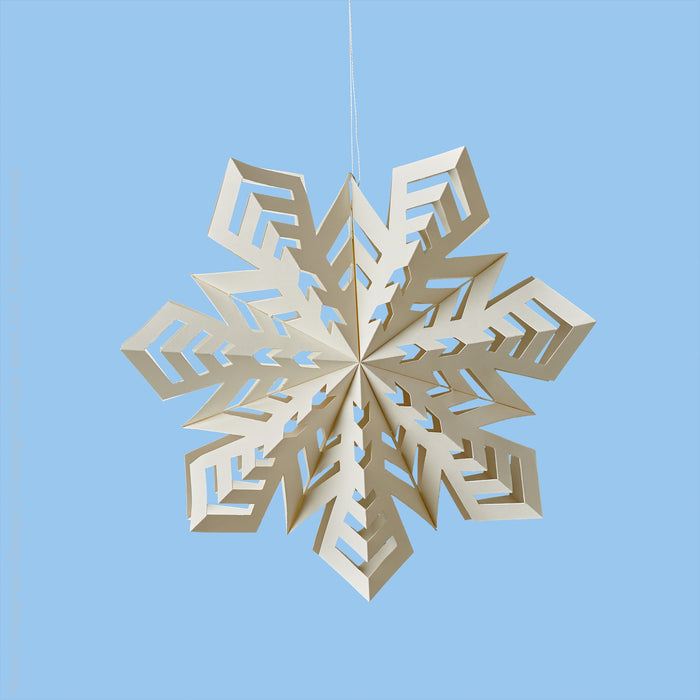 Arctic Snowflake Decorations 