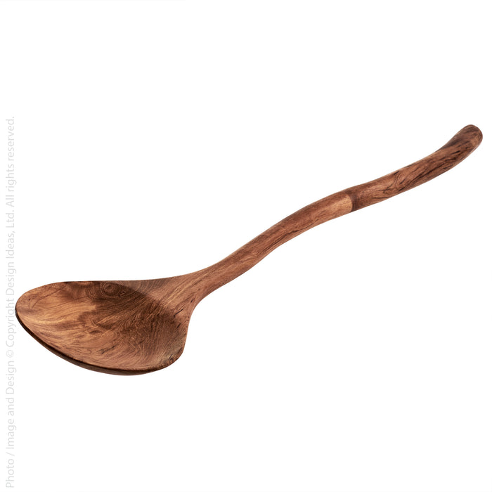Chiku™ tasting spoon