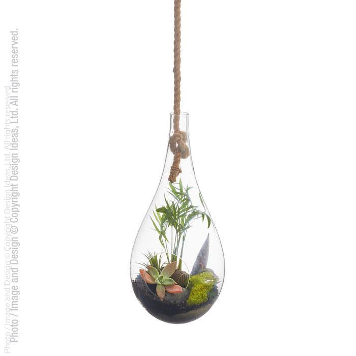 Boboli™ hanging terrarium (7 dia. x 15 in.)