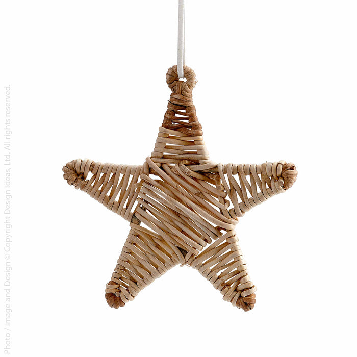 Calamus™ ornament (star)