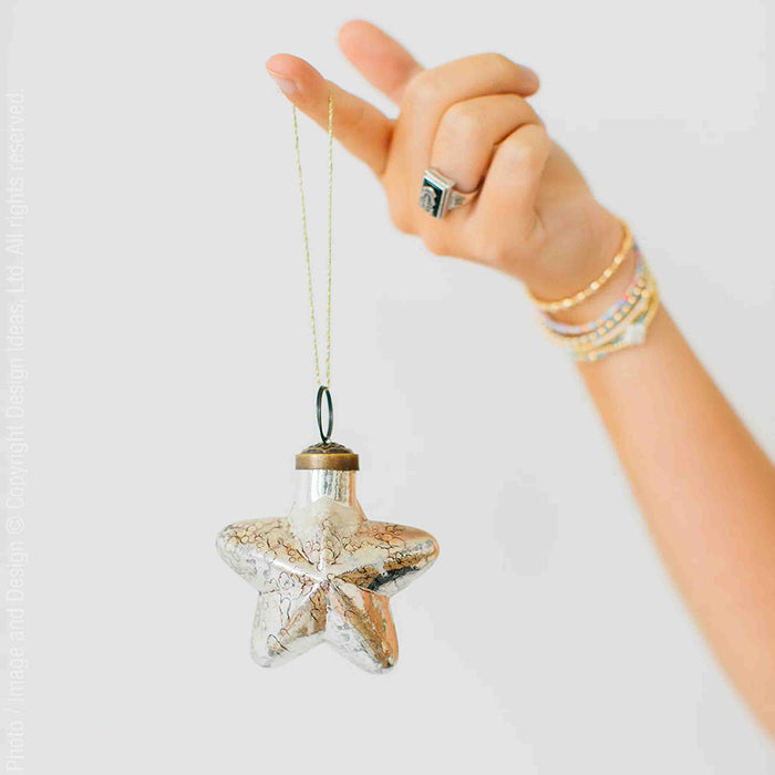 Stella™ star ornament