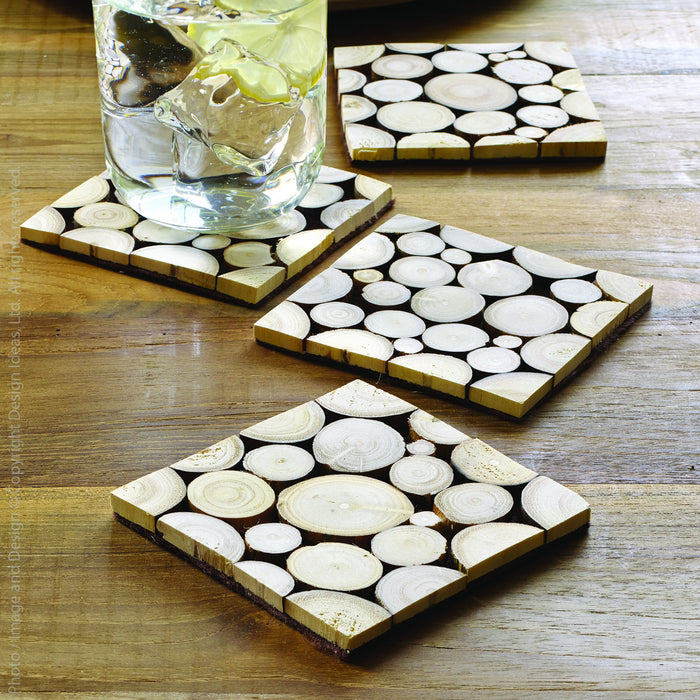 Branch™ coasters (set of 4)